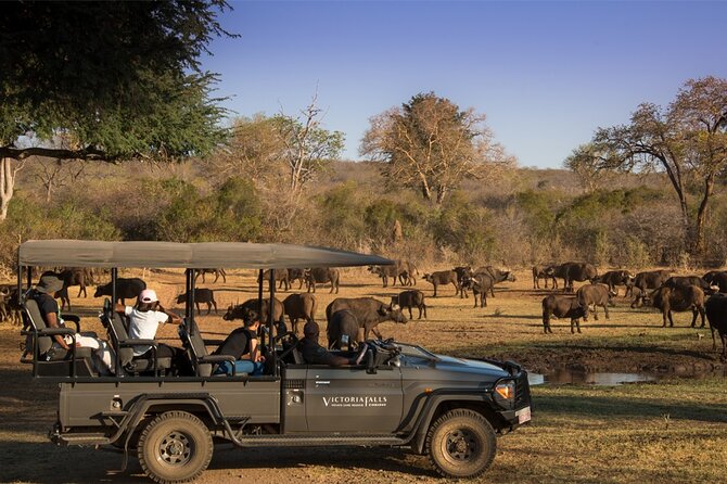 3-Day Victoria Falls Safari with Dinner Cruise - Day three: a simple airport transfer