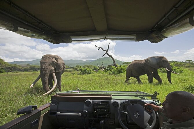 3-Day Victoria Falls Safari with Dinner Cruise - Group size, timing, and practical comfort