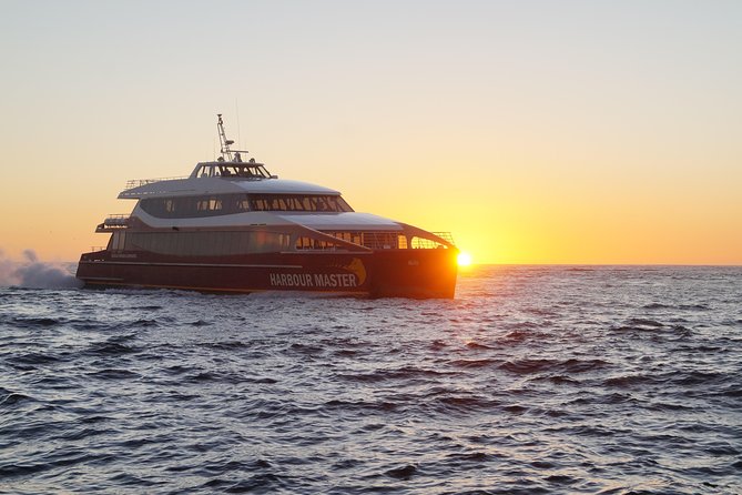 Afternoon Gordon River Dinner Cruise - Key points to know before booking