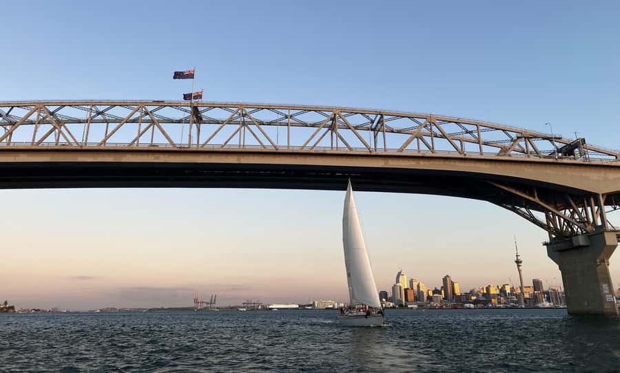 Auckland: Harbour Sailing Cruise with 3-Course Dinner - Finding the boat at Viaduct Harbour