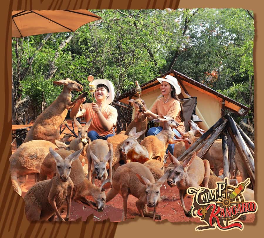 Bangkok: Private Family Tour to Safari & River Dinner Cruise - Marine Park shows and shaded rest time