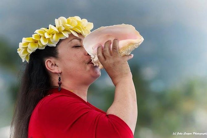 Big Island Historical Dinner Cruise to Kealakekua Bay - Setting out from Kailua Pier at 4 p.m.