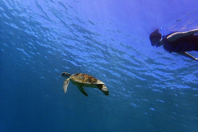 BIG Sunset Cruise - Dinner & Dolphin Watching in Guam - The BBQ buffet and open bar
