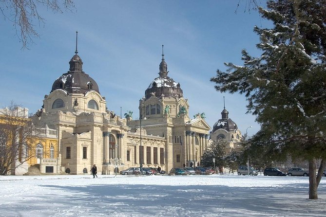 Budapest Széchenyi Spa with Danube Cruise and Optional Dinner - What the $155.77 price really buys