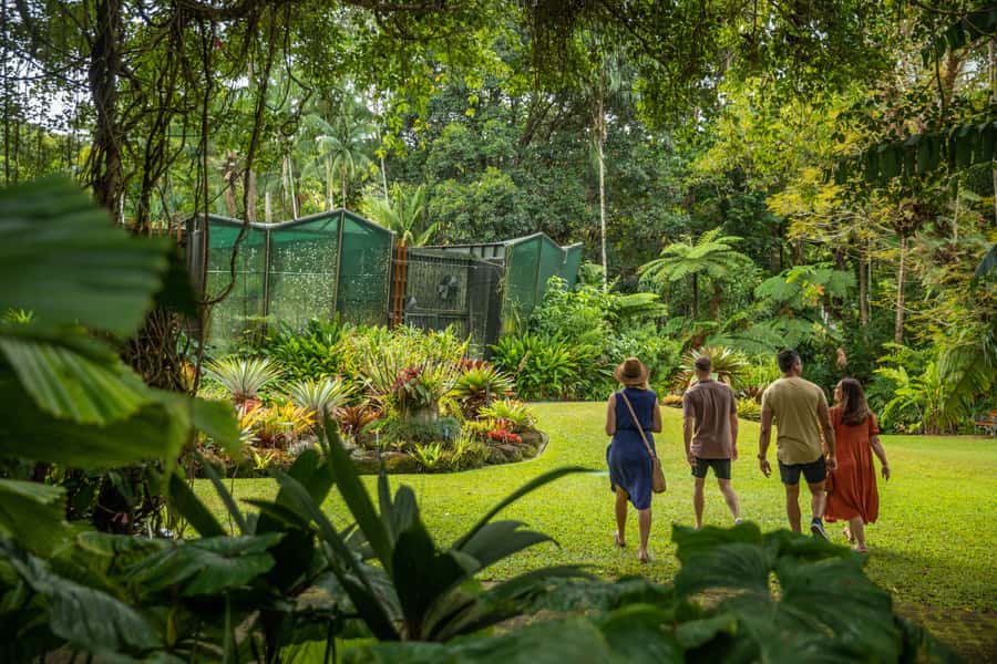 Cairns: City Sights Tour with Evening Dinner Cruise - Key points to know before booking