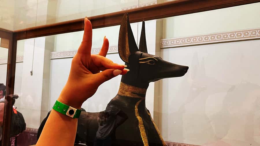 Cairo: Giza Pyramids, Egyptian Museum & Nile Dinner Cruise. - Inside the Egyptian Museum