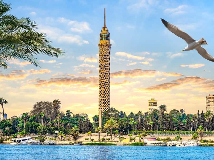 Cairo: Sunset Cairo Tower Tour With Nile River Dinner Cruise - What your guide adds to the evening