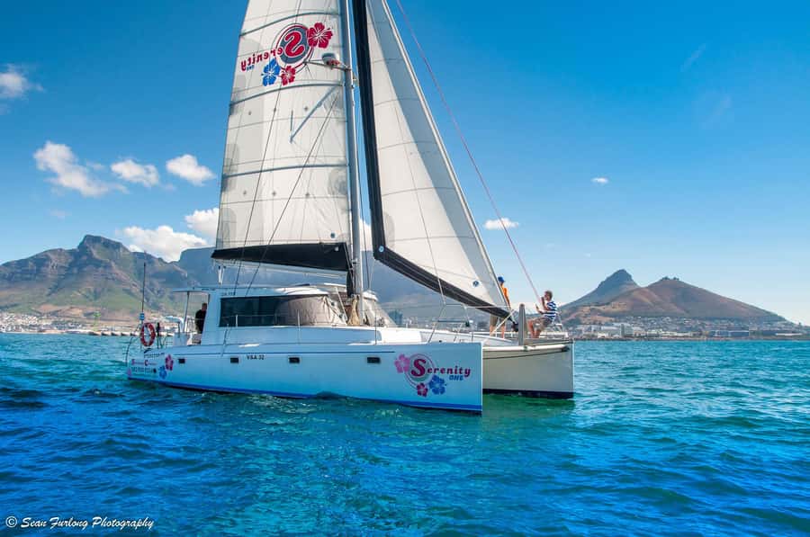 Cape Town: Sunset Champagne Cruise and 3-Course Dinner - Booking tips for a smoother evening