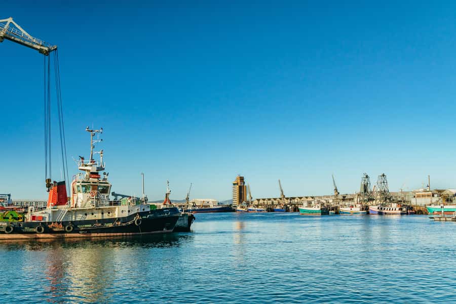 Cape Town: Sunset Champagne Cruise and 3-Course Dinner - The details that can make or break your evening