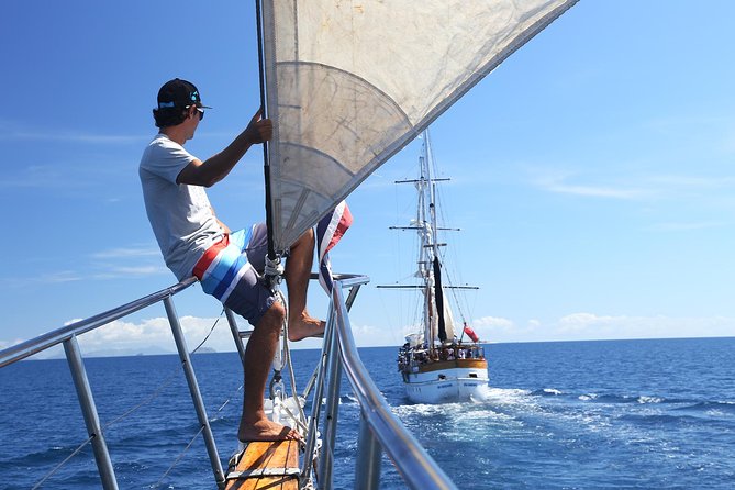 Capt Cook Cruises Super Saver Combo: Day Sail + Dinner Cruise - Is the $202.73 price good value?