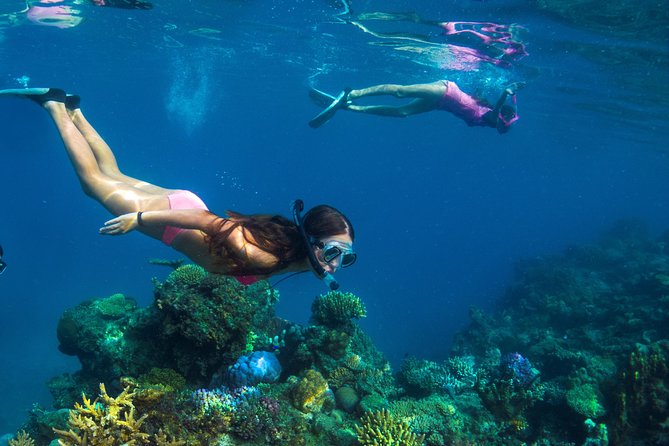 Capt Cook Cruises Super Saver Combo: Day Sail + Dinner Cruise - BBQ lunch, tea, and drinks on the island
