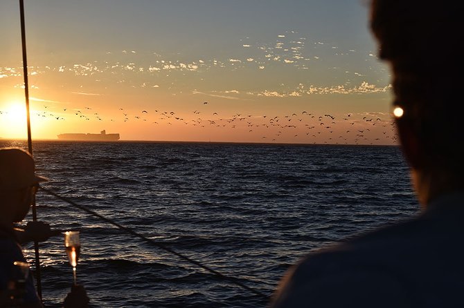 Cruise and Dine Dinner / Cape Town: Sunset Champagne Cruise and 3-Course Dinner - Sailing beneath Table Mountain at sunset