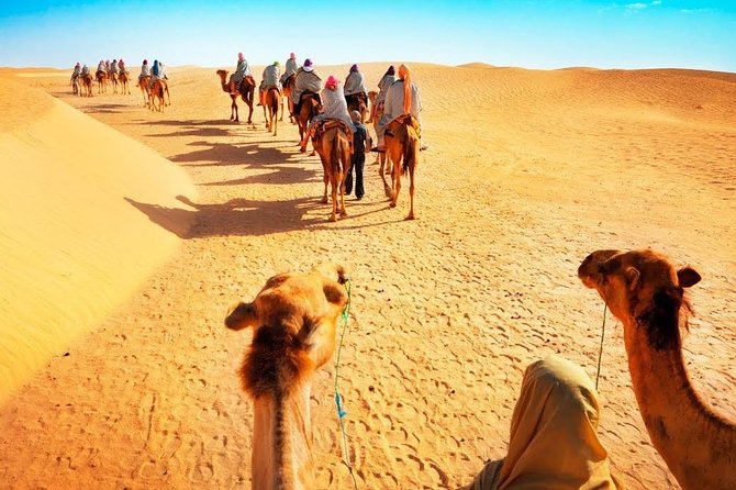 Desert Safari and Dhow Cruise Dinner Marina (Limited Offer) - Food, seating, and the value of the package