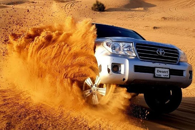 Desert Safari and Dhow Cruise Dinner Marina (Limited Offer) - What the guide can add to the experience