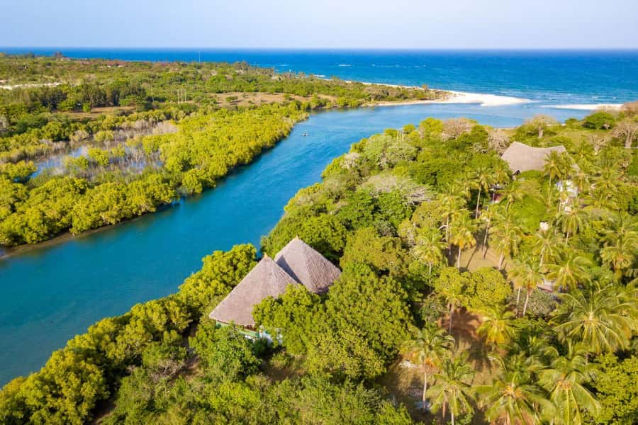 Diani Beach: Sunset Dhow Cruise with Dinner - Key points at a glance