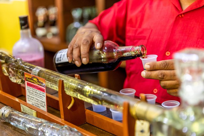 Dinner Cruise Tour in Cabo San Lucas with Tequila Tasting - What Dinner Is Really Like