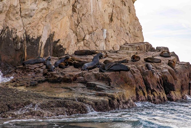 Dinner Cruise Tour in Cabo San Lucas with Tequila Tasting - Who Will Enjoy This Cabo Cruise Most?