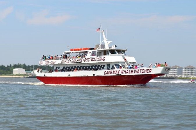 Dinner Cruise with Dolphin Watching from Cape May - Dinner, assigned tables, and the buffet question