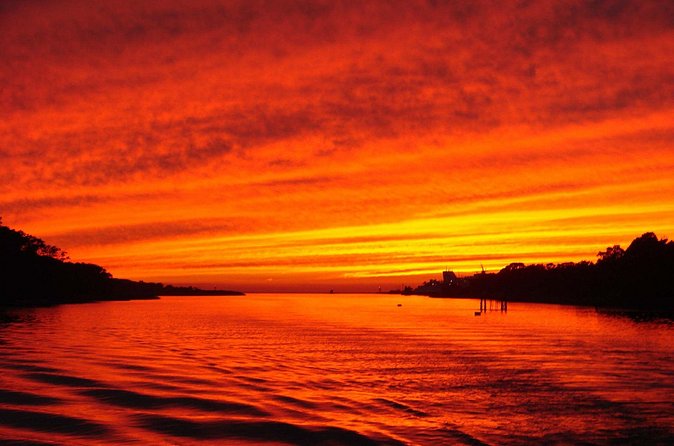 Dinner Cruise with Dolphin Watching from Cape May - Dolphins, whales, and the 1,000-acre nature preserve