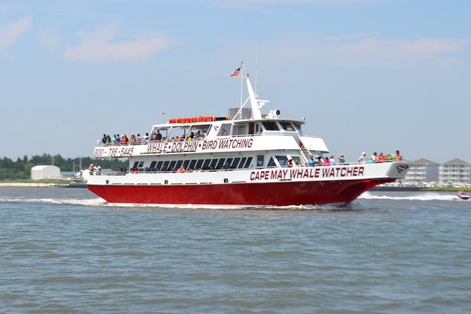 Dinner Cruise with Dolphin Watching from Cape May - Leaving Cape May’s Victorian beachfront