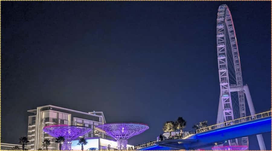 Dubai: Marina Dhow Dinner Cruise with Live Entertainment - Transfers, timing, and the evening schedule