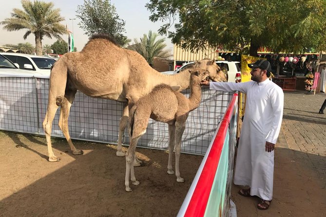 Dubai TRIO: City Tour- Desert Safari with BBQ- Dhow Cruise Dinner - Al Fahidi Fort and Dubai’s older trading quarter
