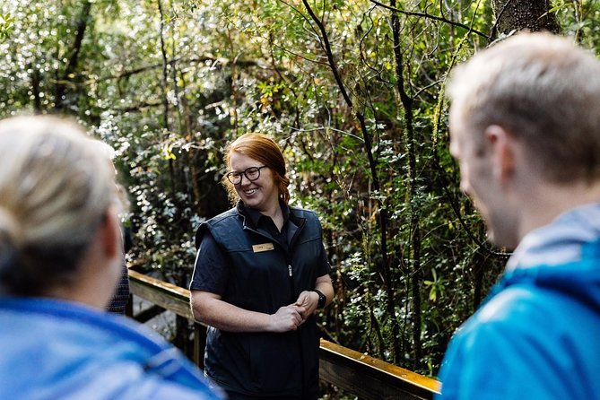 Evening Dinner Cruise - Heritage Landing and the Gordon River rainforest