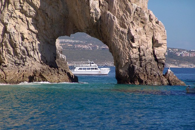Fiesta Dinner Cruise in Cabo with Dinner - Sunset, whales, and the luck of the sea