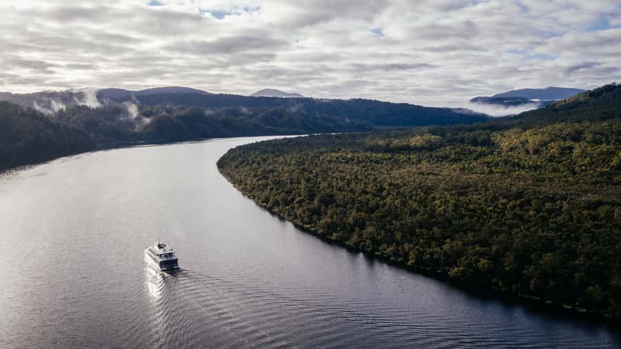 From Strahan: Evening Dinner Cruise on the Gordon River - Who should book this Gordon River cruise?