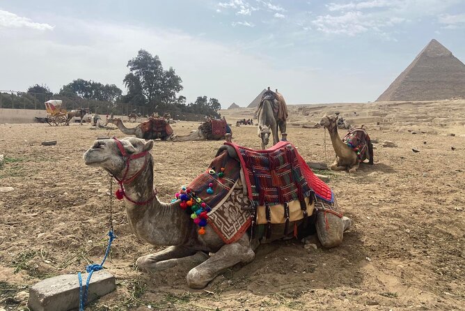 Giza Pyramids,Sphinx,Camel Ride,ATV Bike,Shopping, Dinner cruise - Camel riding around the Giza desert