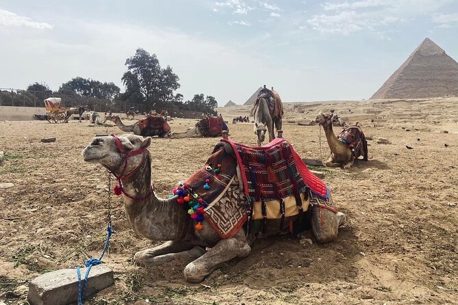 Giza Pyramids,Sphinx,Camel Ride,ATV Bike,Shopping, Dinner cruiseI - Camel riding and the practical side of the add-ons