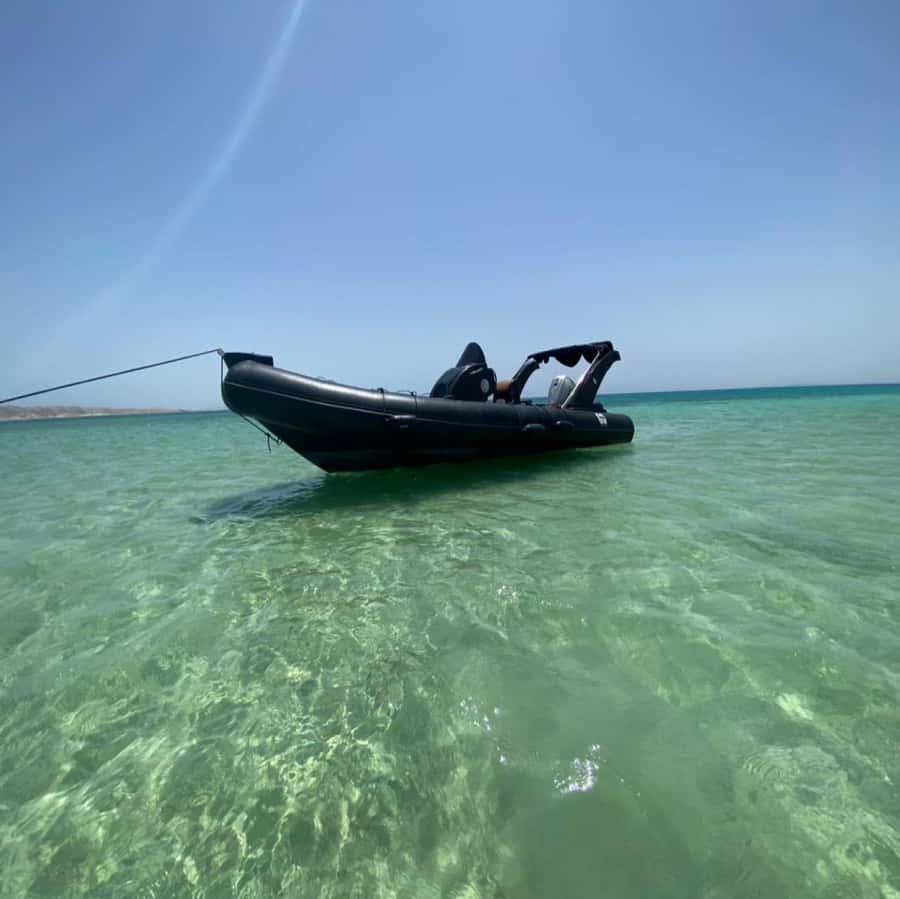 Hurghada: Private Dinner and Sunset Yacht Cruise - Snorkeling, swimming, and the island option