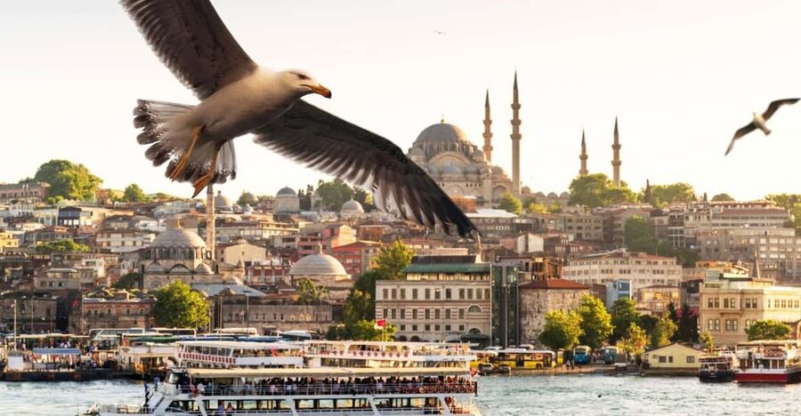 Istanbul: Bosphorus Dinner Cruise with Private Table & Show - What the Bosphorus looks like after dark
