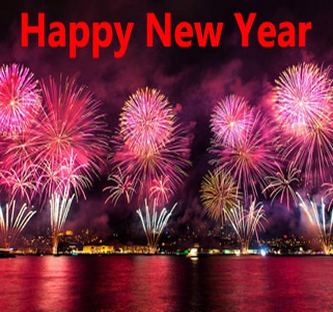 Istanbul: New Year's Eve Bosphorus Dinner Cruise 2027 - Dinner, snacks, and the open bar