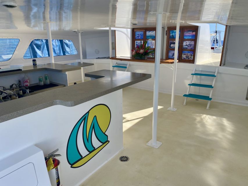 Kaanapali: Sunset Dinner Catamaran Cruise With Drinks - Sunset views and the chance of whales
