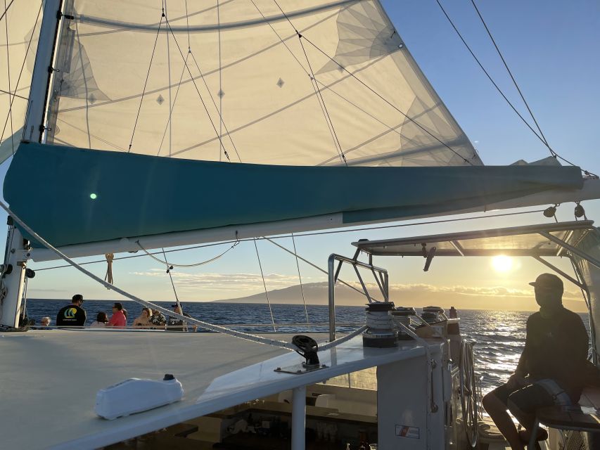 Kaanapali: Sunset Dinner Catamaran Cruise With Drinks - Who will get the most from this cruise