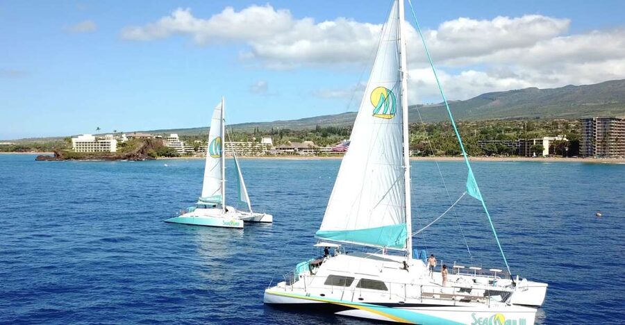 Kaanapali: Sunset Dinner Catamaran Cruise With Drinks - Booking tips that matter