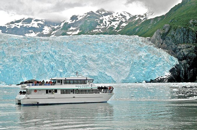 Kenai Fjords National Park Glacier Dinner Cruise from Seward - Seabirds at the Alaska Maritime National Wildlife Refuge