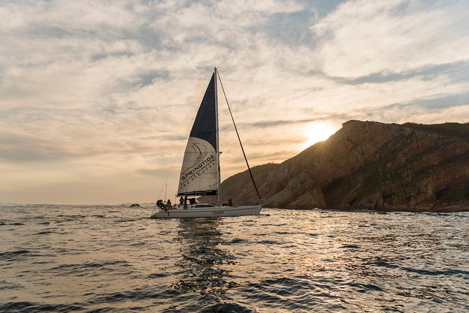 Knysna Sunset Sailing Cruise, Light Dinner & Bubbly - Is the $104.67 price fair?