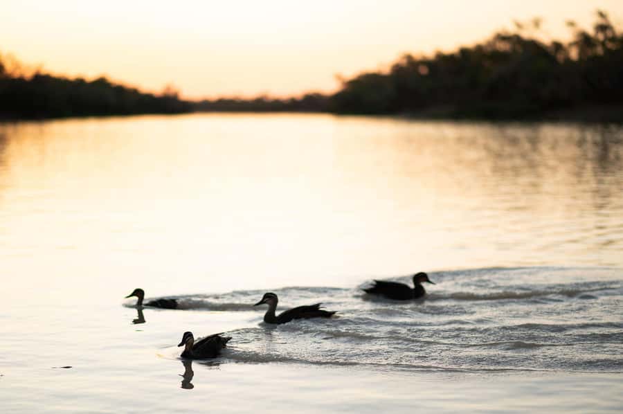 Longreach: Drover's Sunset Cruise & Outback Dinner & Show - Listening to the river aboard the Longreach Explorer