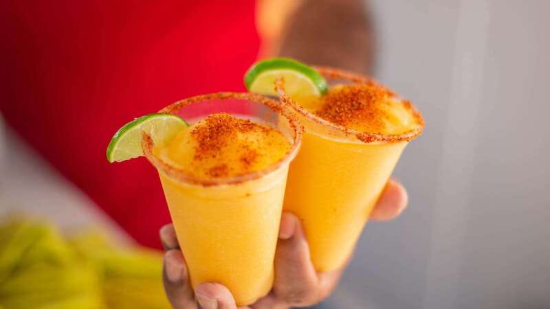 Los Cabos: Sunset Dinner Cruise with Transportation - What to bring and how to prepare