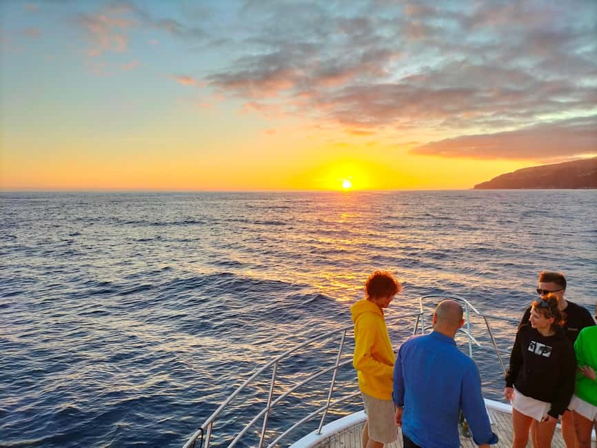 Madeira: Sunset Dinner Cruise - Funchal Bay after dark