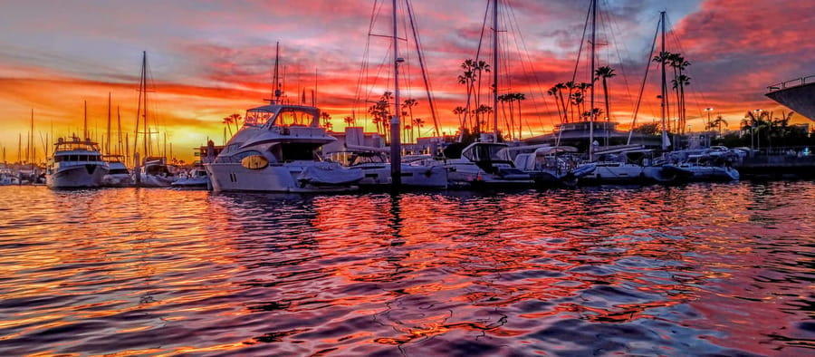 Marina Del Rey: Romantic Cruise, Dinner Charcuterie or Sushi - Choosing between wine, charcuterie, sushi, and dinner