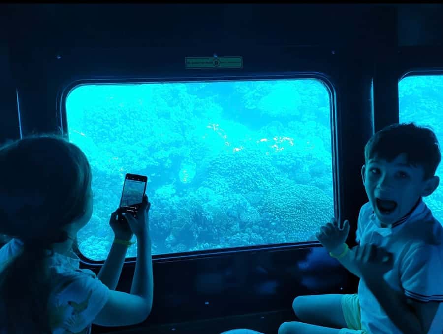 Marsa Alam: Nefertari Sunset Turtle Bay Cruise with Dinner - The underwater viewing deck