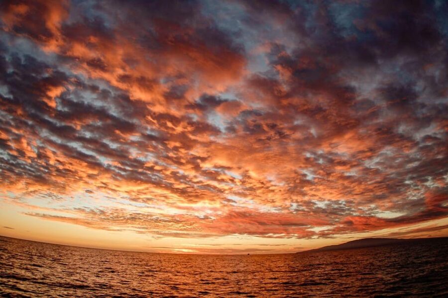 Maui: Luxury Catamaran Royal Sunset 5-Course Dinner Cruise - How the Price Holds Up at $289