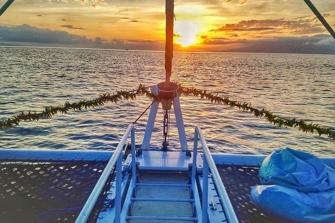 Maui Premium Sunset Dinner Cruise from Ka’anapali Beach - The full open bar and onboard service