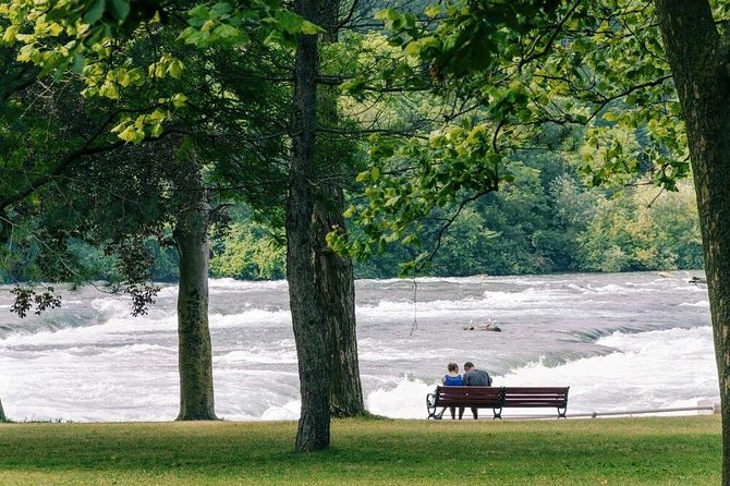 Niagara Falls Day and Evening Tour With Boat Cruise & Dinner (optional) - Seeing Niagara Falls by day and after dark