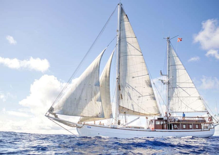 Oslo: Oslofjord Fjord-Style Dinner Cruise - The shrimp dinner: tasty, simple, and seafood-focused