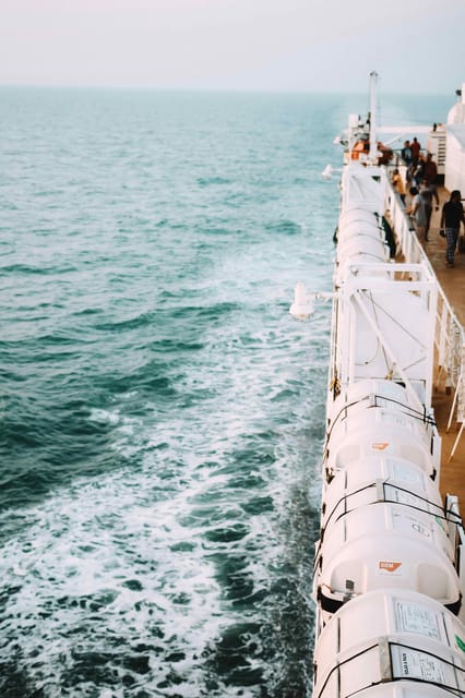Panaji: Mandovi River Cruise with Dinner and Hotel Transfer - Who will enjoy this cruise most