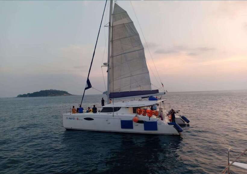 Phuket: Coral Island Catamaran Cruise with Sunset Dinner - Snorkeling near Coral Island